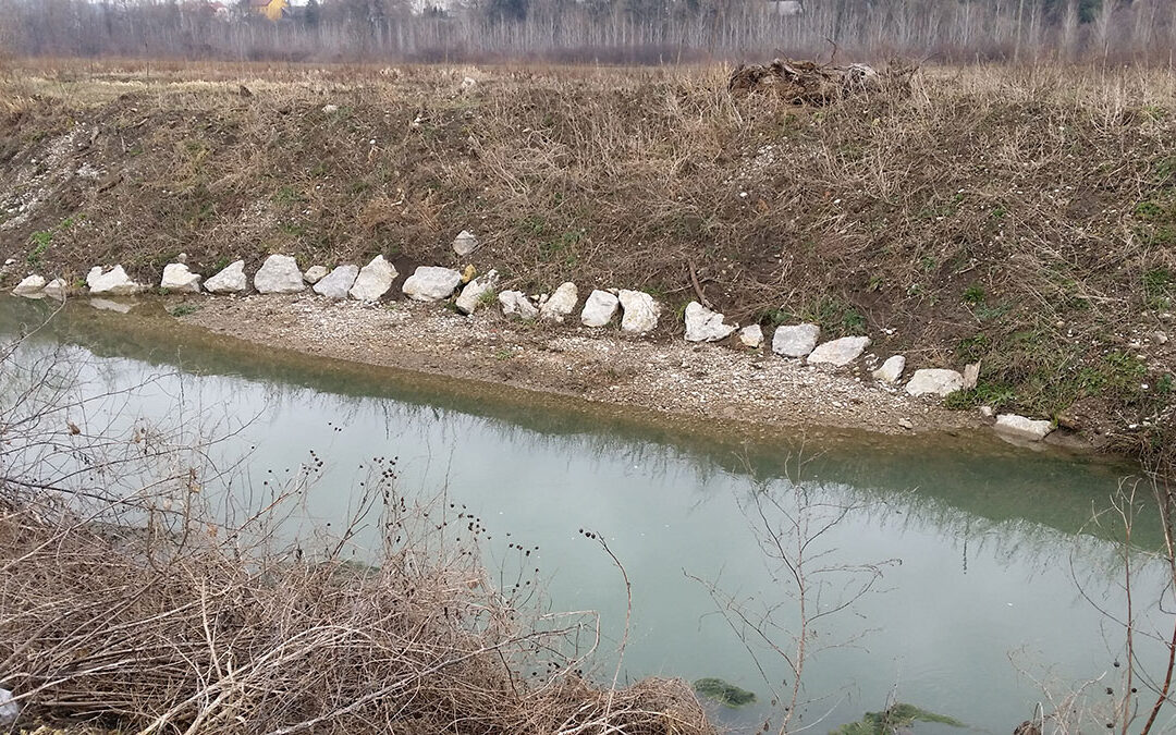Ekoremediacijski ukrepi infrastrukturnih ureditev za hidroelektrarno Brežice