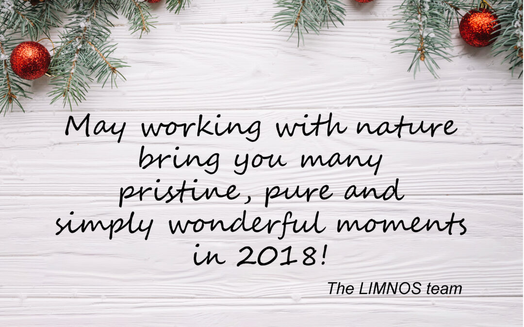 New Year’s Greetings