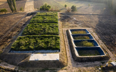 Constructed wetland LIMNOWET for Karbinci 1.100 PE, North Macedonia