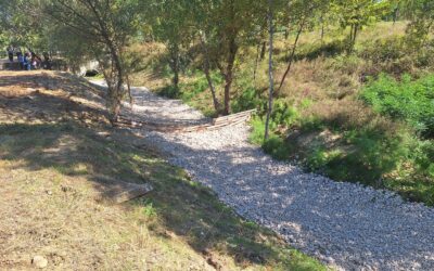 Grajeni ekosistem v Tirani (Albanija)