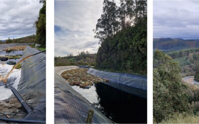 projekt LIFE GREEN ADAPT